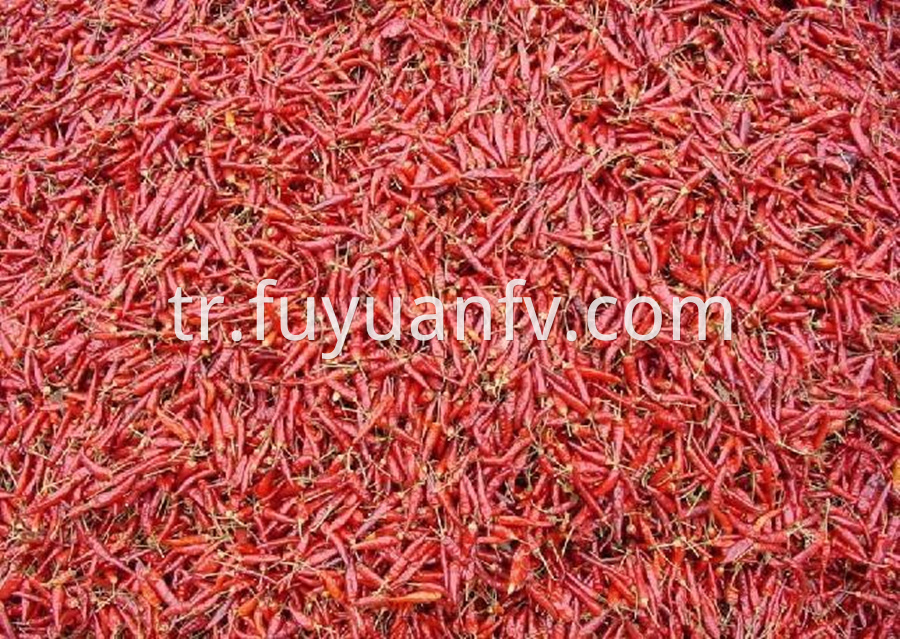 Chaotian Red Chili